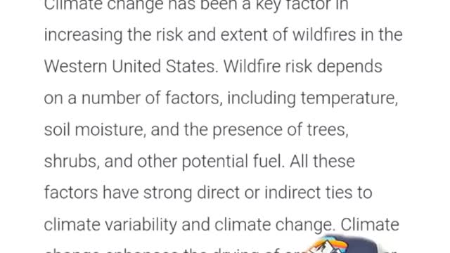 Mismanagement of wildfires