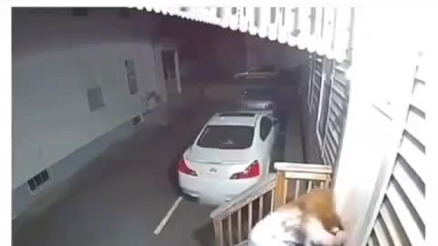 What was she drinking