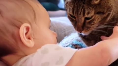 The cat wants to kiss the baby’s