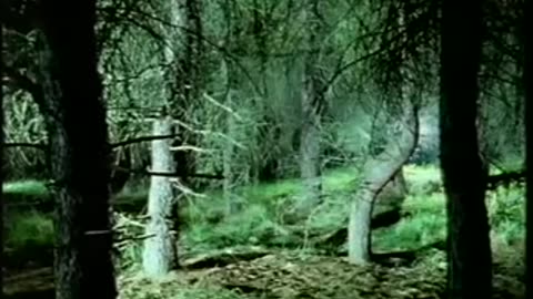 Adam Curtis - The Living Dead - Part 1: On the Desperate Edge of Now (1995)
