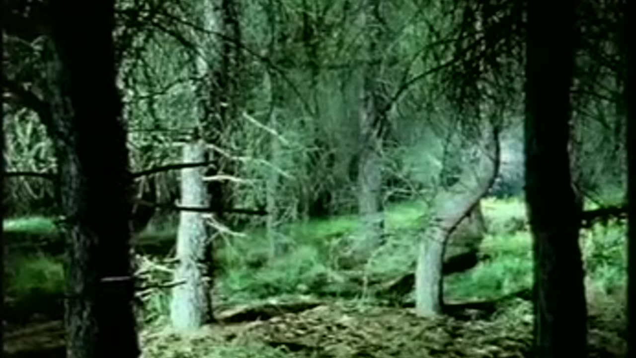 Adam Curtis - The Living Dead - Part 1: On the Desperate Edge of Now (1995)