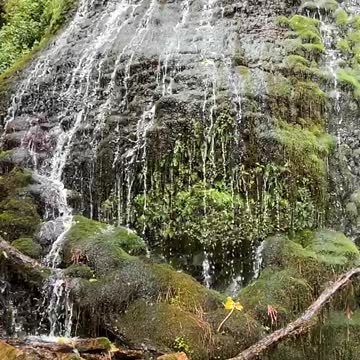 Thunder Falls in the Grand Canyon