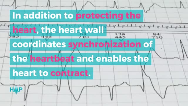 Guide To The Structure Of The Heart