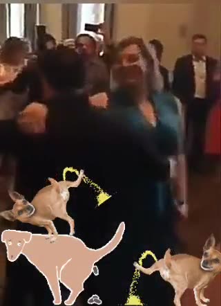 Arraiá dos traíras