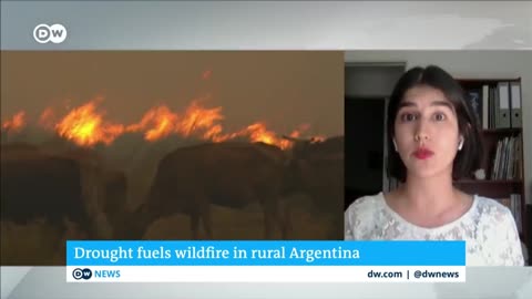 Firefighters in northern Argentina are struggling to contain massive wildfires | DW News