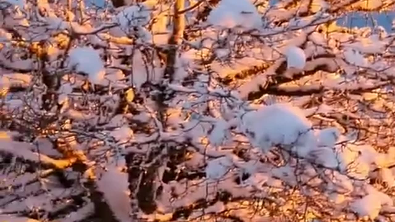 Most beautiful place in Switzerland