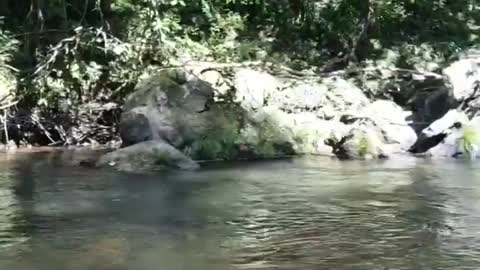 Aventuras pelo Rio São Miguel