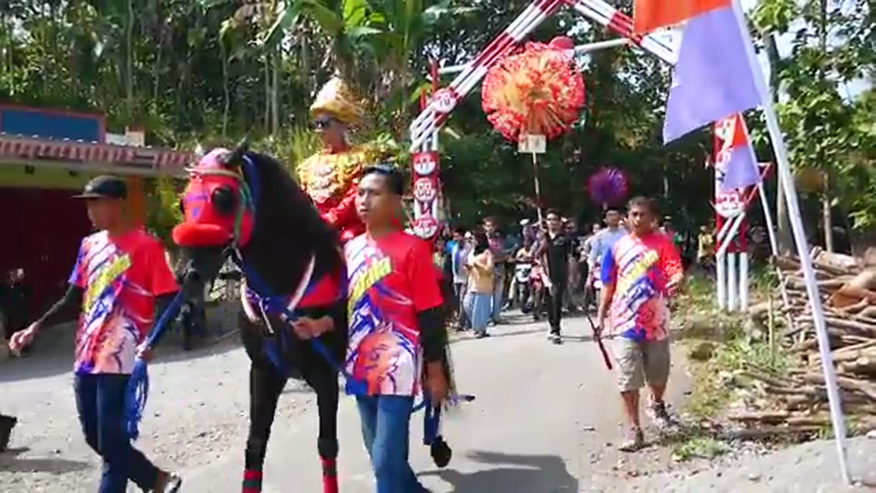 Horses are used as carriages to entertain children while on holiday in the village