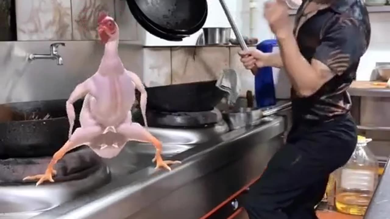 CHICKEN 🐔 DANCE