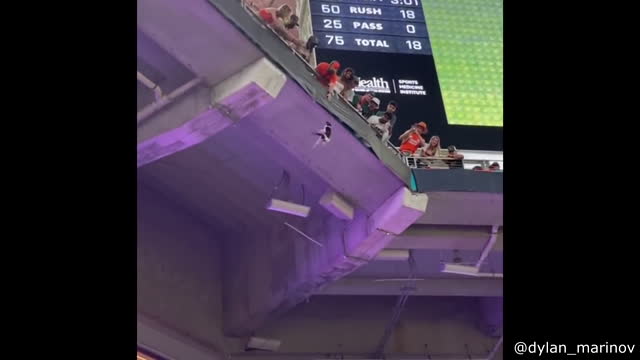 Will this cat survive falling from stadium balcony ?