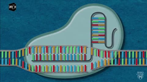 Did anyone else know this technology exists? Crispr Cas-9 😳