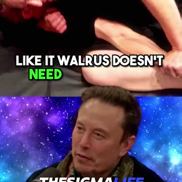 Elon Musk on Why he Wants To Fight Mark Zuckerberg