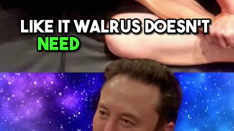 Elon Musk on Why he Wants To Fight Mark Zuckerberg