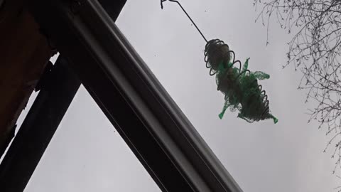 Nyvaken. Jimmy och Roland i Häljalt 22 Febr. 2017