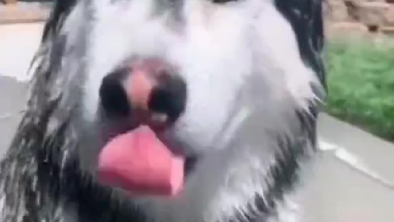 Oooooooook🤣🤣🤣