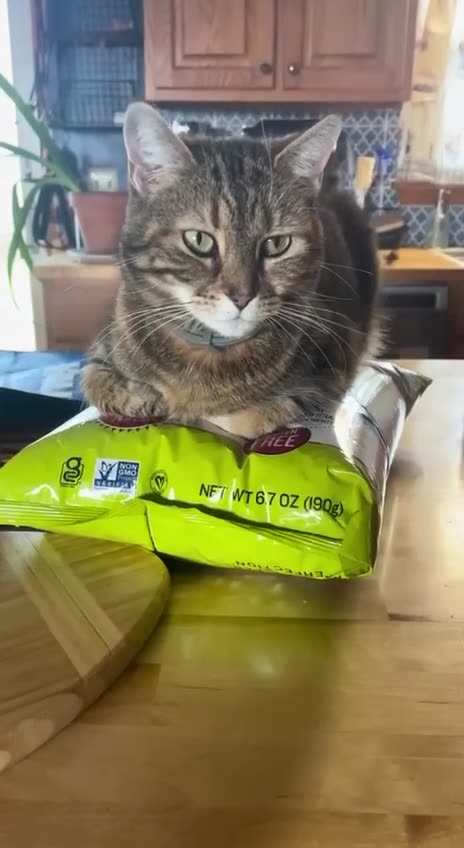 The bag of chips is all mine