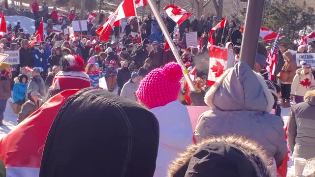 Protest for Freedom Alberta