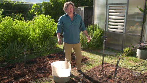 Gardening Australia 2024 Episode 33