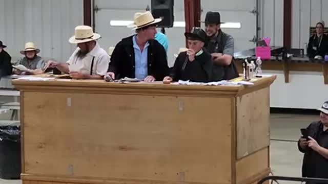 11 yr old auctioneers at Middlefield Ohio standardbred driving horse sale. May 28 2022