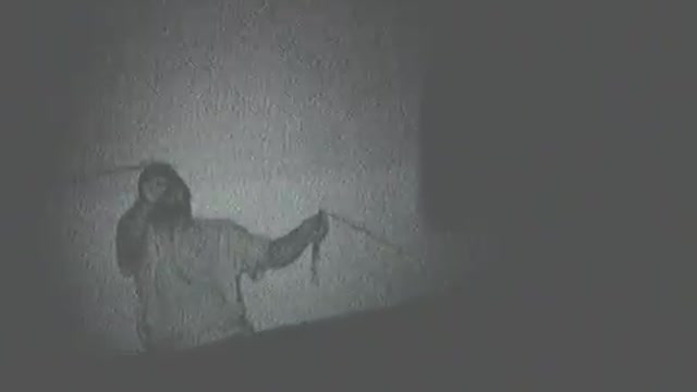 2nd St. Brothel capture 2010 Paranormal Video
