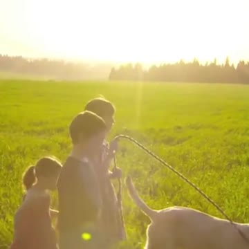 Children Dog Friends Field Animal Pet Playing