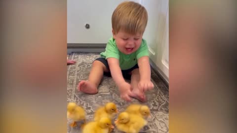 Cute baby playing with duck babies 🤩