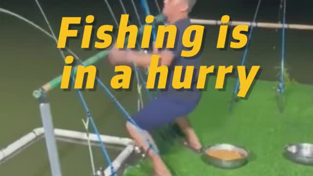 Fishing is in a hurry