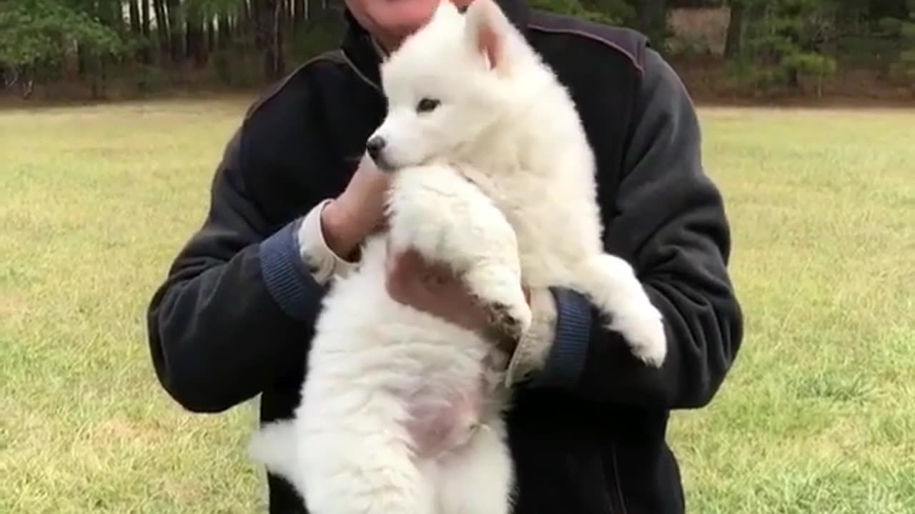 Harmony between humans and animals!