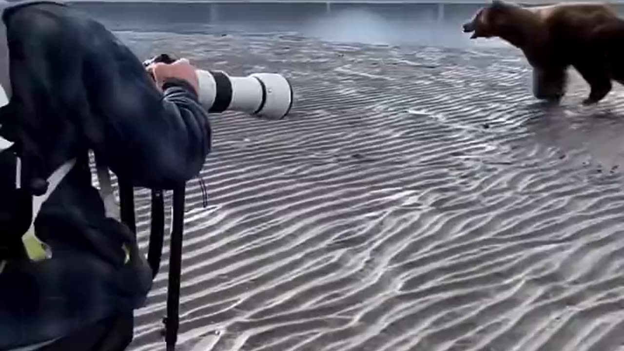 The bravery of the guide saved everyone from the attack of the Bears.