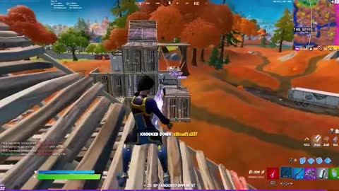 Playing Fortnite individually