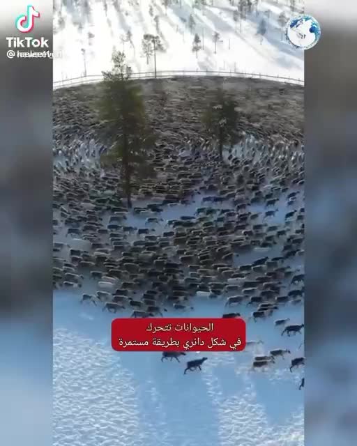 Weird weird weird anyone know why this is happening