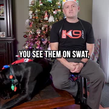 3 Dog Breeds I Would Not Recommend This Holiday Season