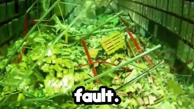 This forklift worker DESTROYED this entire warehouse