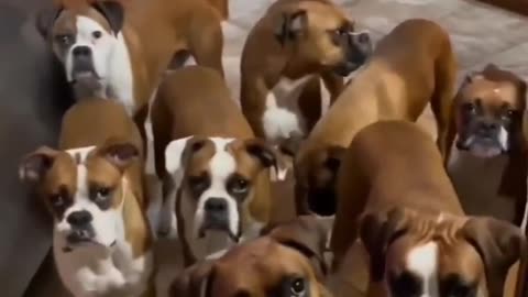 What This House Smell Like