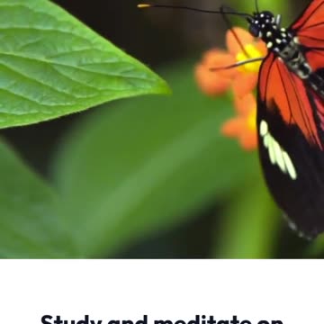 5 Steps to Strengthen Prayer Overcome Spiritual Warfare😇🙏❤️#shorts #prayerlife