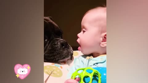 Best video of Cute Babies and Pets - Funny Baby and Pet