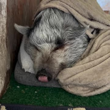 One of them lazy days