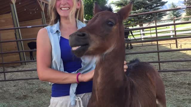 Have you ever seen a horse smile?