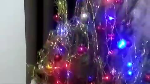 Christmas tree.