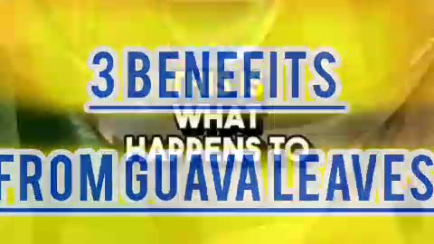 Top 3 Benefits of Guava Leaves: Discover Nature's Health Secret