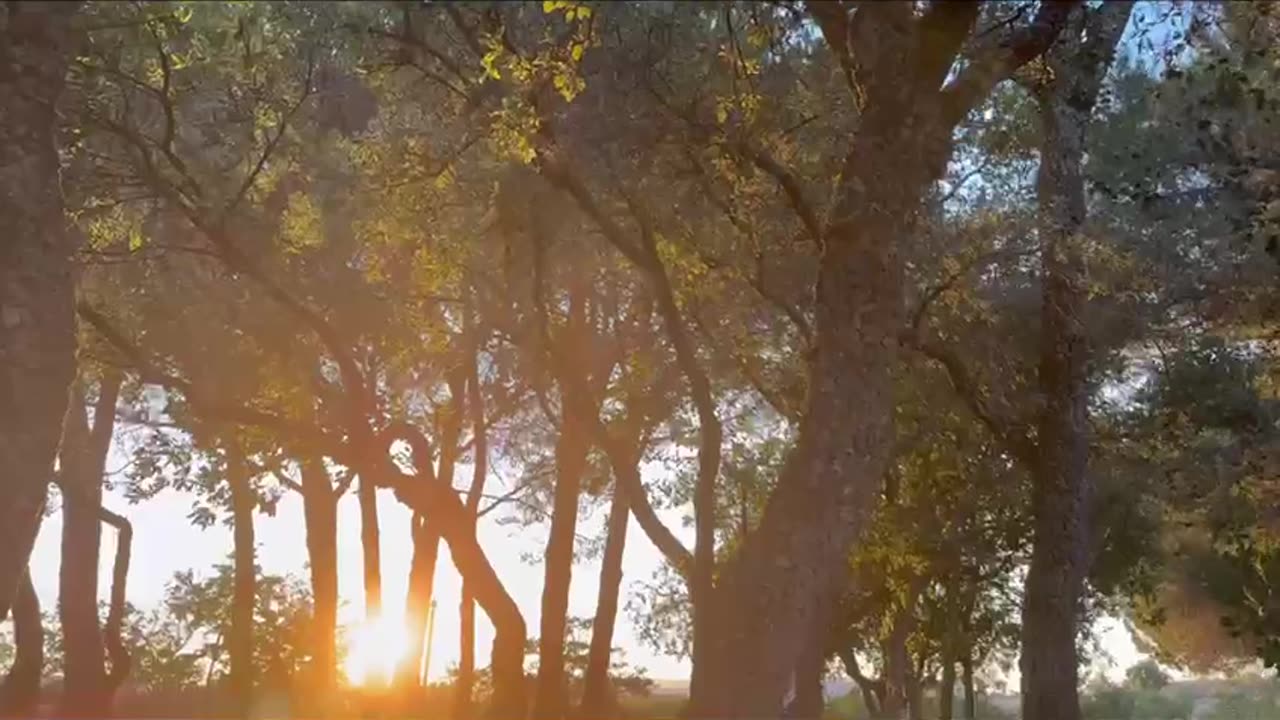 A good day in Lisbon | Evening Walk | Sunset