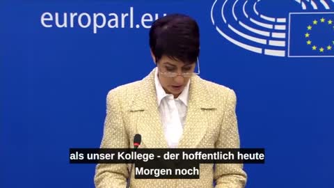 European Parliament press conference