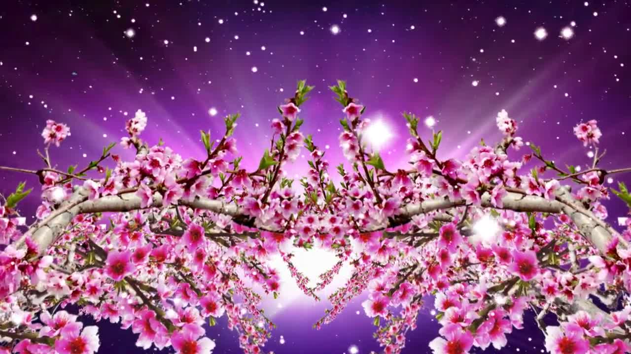 Chinese style particle petals falling holiday background.