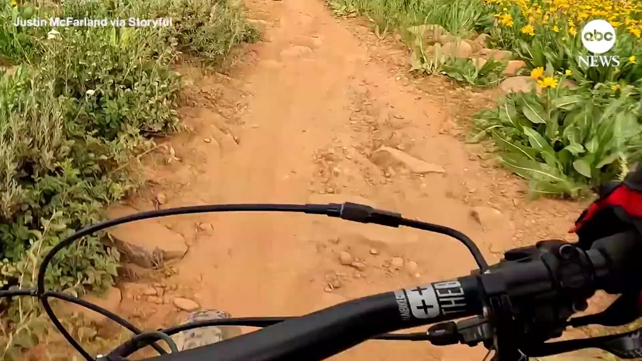 Biker using helmet camera captures field of wildflowers in bloom | ABC News