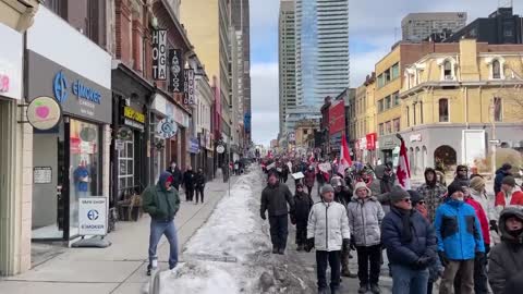 Toronto protest for freedom