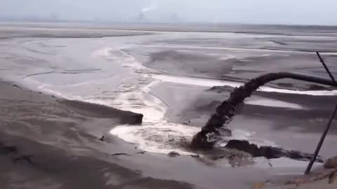 "CUIDANDO" EL PLANETA.... SEGÚN ELLOS.... 🤦‍♂️🤦‍♂️🤦‍♂️🤦‍♂️