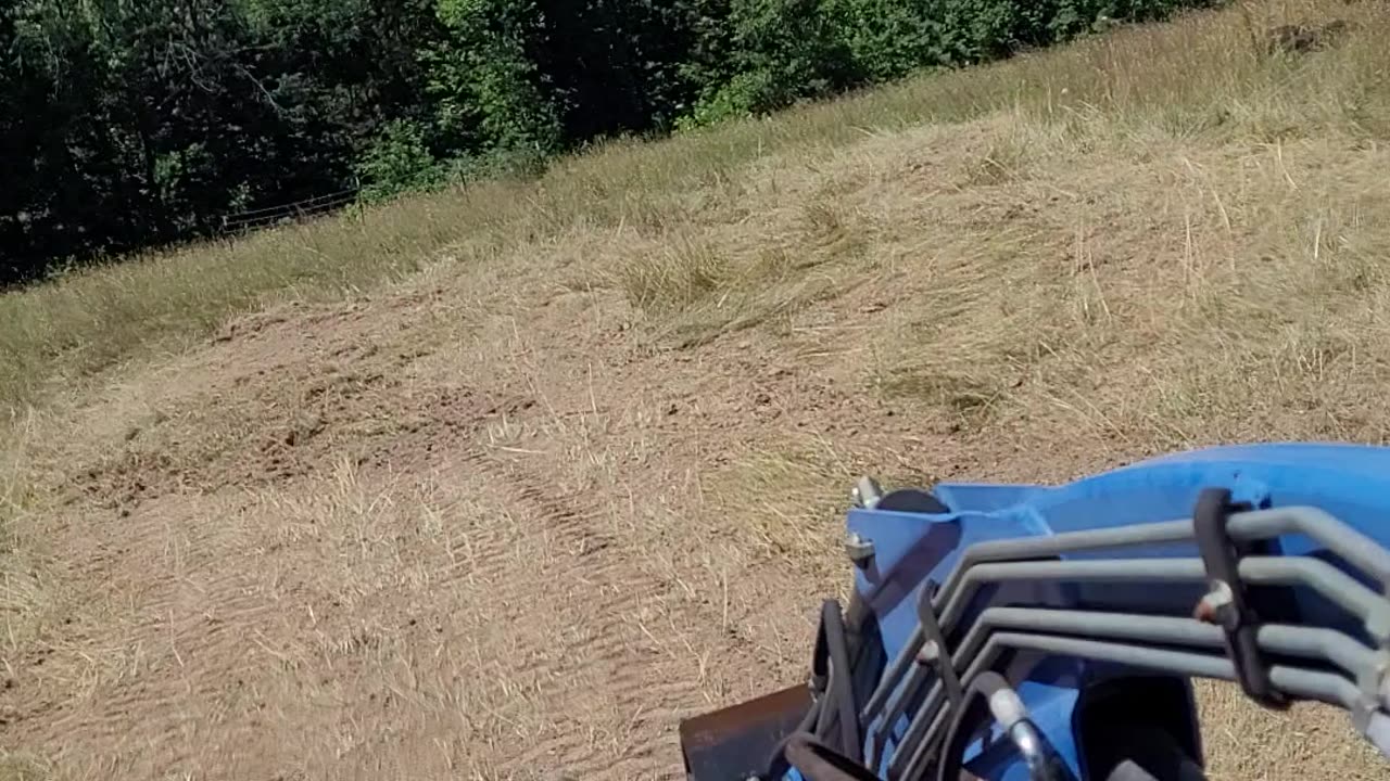 action on the shipping container porch