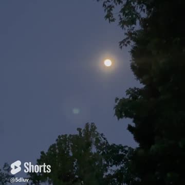 Abundance of Everything vlog