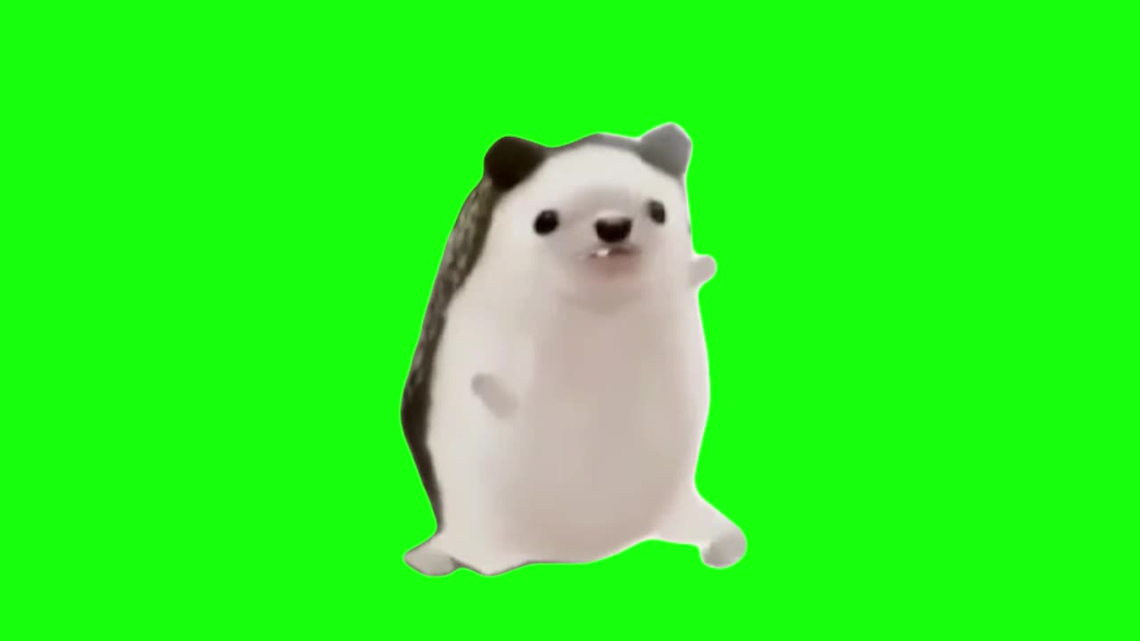 Hedgehog Dancing to Bad Romance | Green Screen