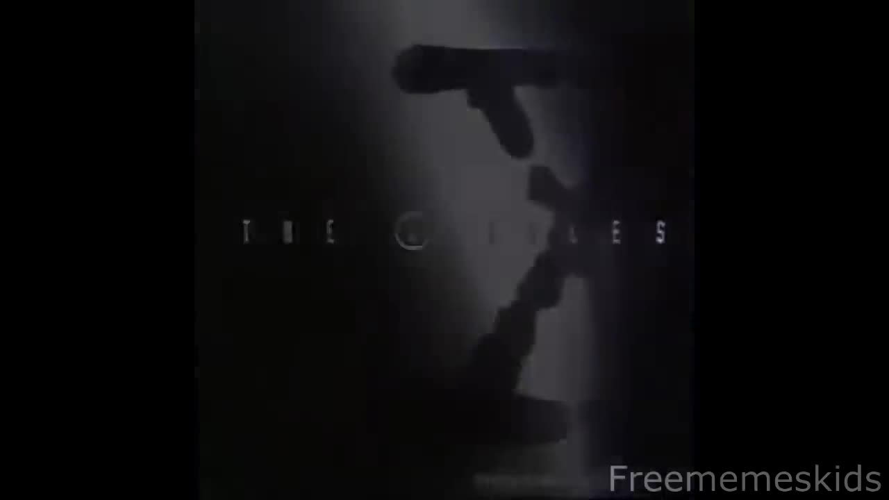 Memes V. 6